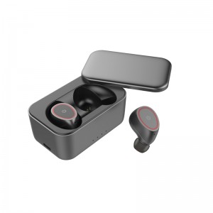 GW12 In-Ear Translator Earbuds with Charging Box